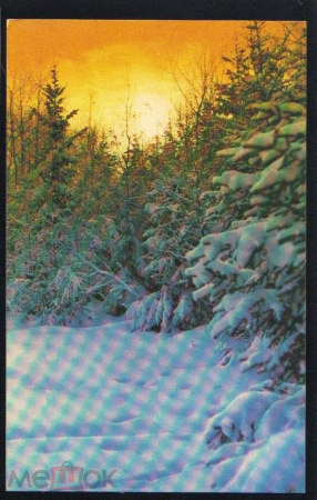 Открытка СССР 1974 г. С Новым Годом, лес, заказ. фото Г. Костенко подписана