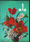 Открытка СССР 1990 г. 1 мая. Цветы фото. Дергилева ДМПК чистая из пачки К001