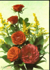 Открытка СССР 1990 г. Букет, цветы, фото И. Дергилева ДМПК чистая К001