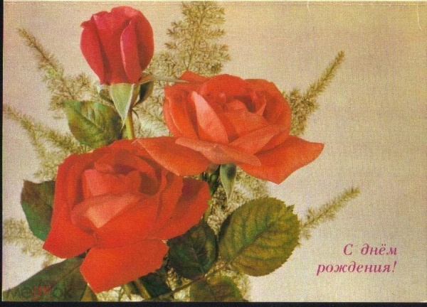 Открытка СССР 1990 г. С днем рождения. Цветы. Розы. фото И. Дергилева двойная чистая