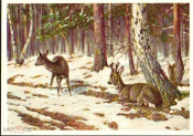 Открытка СССР 1960-е г. Косули в лесу, олени, живопись. горы, лес, природа чистая
