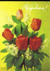 Открытка СССР 1991 г. Поздравляем, цветы, тюльпаны, букет, фото И. Дергилева ДМПК чистая К001