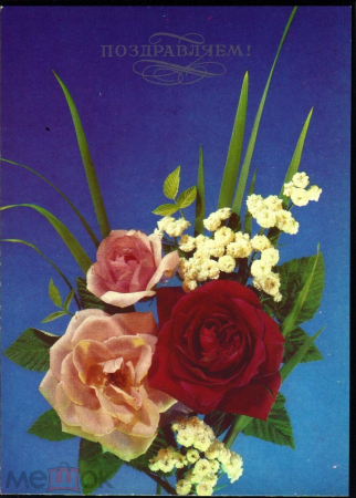 Открытка СССР 1992 г. Поздравляем, цветы, букет, фото И. Дергилева ДМПК чистая К001