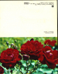 Открытка СССР 1981 г. Букет, цветы, корзина, фото. Н. Матанова двойная чистая К002 - вид 1