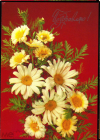 Открытка СССР 1992 г. Поздравляю, цветы, ромашки, букет, фото И. Дергилева ДМПК чистая К001