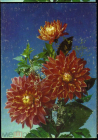 Открытка СССР 1992 г. Букет, цветы, фото И. Дергилева ДМПК чистая пятна на обороте К001
