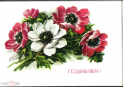 Открытка СССР 1991 г. Поздравляем, цветы, букет фото Ю. Куртенко ДМПК чистая К002