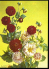 Открытка СССР 1991 г. Букет, цветы, фото И. Дергилева ДМПК чистая К001