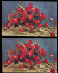Открытка СССР 1977 г. Букет роз, цветы, ваза, корзина. фото. Е. Игнатович чистая К002 - вид 1
