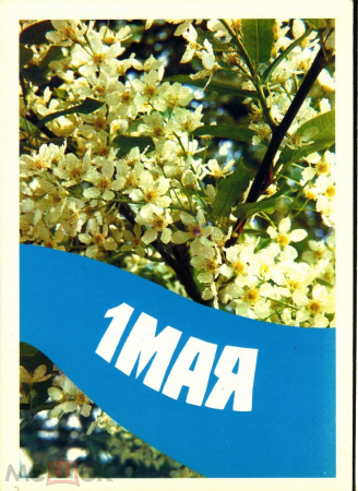 Открытка СССР 1990 г. 1 мая, цветы. ф. Жаворонков ДМПК из пачки чистая К001
