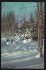 Открытка СССР 1971 г. С Новым годом, зимний лес, пейзаж фото. Г. Костенко ДМПК чистая