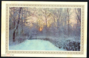 Открытка СССР 1970 г. С Новым Годом! Лес, природа, зима, деревья. фото Раскина обрезана