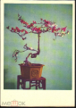 Набор открыток Китай КНР Бонсай, издательство на иностранных языках Пекни 10 шт без обложки - вид 3