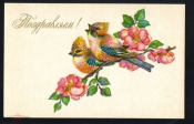 Открытка СССР 1975 г. Поздравляю. Птицы на цветущем дереве, худ Л. Манилова чистая