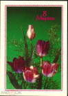 Открытка СССР 1989 г. 8 марта, цветы, тюльпаны фото. Дергилева ДМПК из пачки чистая К001