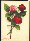 Открытка СССР 1962 г. Цветы, розы. ЦФА Октообер Таллин чистая редкая