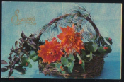 Открытка СССР 1971 г. 8 марта, корзина, цветы. изд. Планета фото Ю. Артамонова подписана