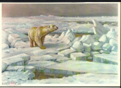 Открытка СССР 1960-е г. Белый медведь, живопись. снег, природа чистая