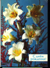 Открытка СССР 1988 г. С днем рождения. Нарциссы, цветы. фото П. Костенко ДМПК подписана