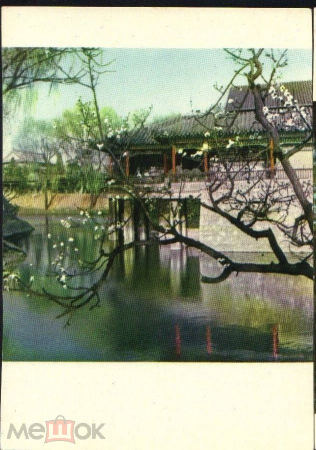Открытка Китай 1950-е г. КНР. Павильон над водой в парке им. Сунь Ят-сена, озеро, саккура чистая