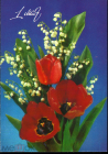 Открытка СССР 1991 г. 1 мая, тюльпаны, цветы. фото И. Дергилева ДМПК чистая К002