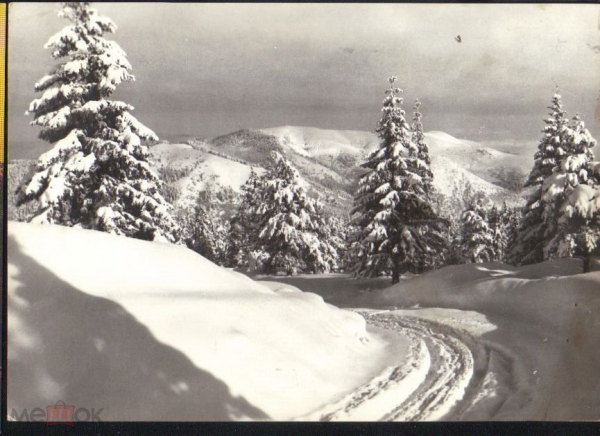 Открытка Болгария 1962 г. Рила. Зимний пейзаж фото Д. Влаева фотоиздат подписана с маркой