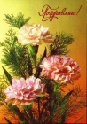 Открытка СССР 1991 г. Поздравляю, цветы, гвоздики, фото И. Дергилева ДМПК чистая К001
