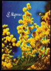 Открытка СССР 1986 г. С 8 марта. цветы, мимозы. букет. фото. Панова ДМПК подписана