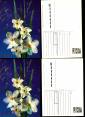 Открытка СССР 1990 г. 8 марта, цветы, нарциссы. фото И. Дергилева ДМПК чистая К002 - вид 1