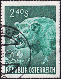 Австрия 1959 год . Дикий кабан (Sus scrofa) . Каталог 1,50 £.