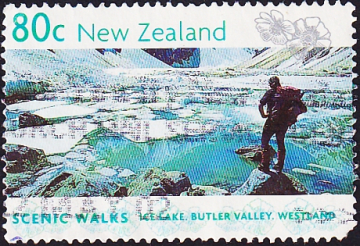 Новая Зеландия 1999 год . Ледяное озеро. Батлер Вэлли. Вестленд . Каталог 1,0 €.