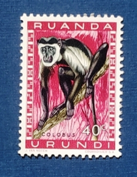 Руанда-Урунди 1959 Колобус Sc# 139 MNH