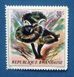 Руанда 1980 Пилолистник Lentinus atrobrunneus Sc# 976 MNH