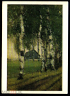 Открытка СССР 1976 г. Пурвит. Пейзаж с березами, дом, изба, лес живопись чистая К004-1