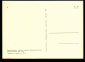 Открытка СССР 1970 Гравюра Торжественное провозглашение Парижской Комунны живопись, чистая К005-4 - вид 1