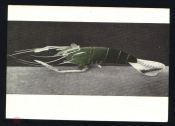 Открытка СССР 1957 Рак. Рог. Художественные изделия Вьетнама СХ чистая К005-5