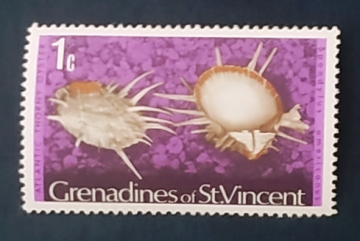 Гренадины Сент-Винсента 1974 Атлантическая колючая устрица Sc# 33 MNH