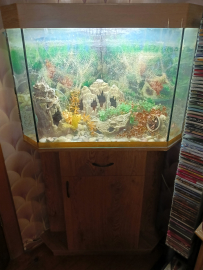 Панорамный угловой аквариум с тумбой, б/у, комплект