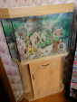 Панорамный угловой аквариум с тумбой, б/у, комплект - вид 1