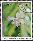 Куба 1973 год . Орхидея Dendrobium hybr.. Каталог 0,60 €.