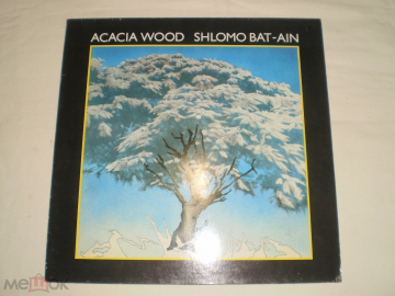 Shlomo Bat-Ain ‎– Acacia Wood - LP - Germany