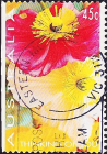 Австралия 1994 год . Маки . Каталог 0,70 € (5) 