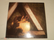 Kate Bush ‎– Lionheart - LP - Germany