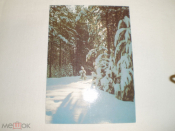 Зимний лес. Фото А. Пушкина 1986 г. Открытка