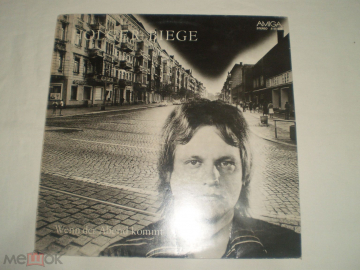 Holger Biege ‎– Wenn Der Abend Kommt - LP - GDR