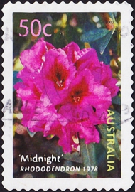 Австралия 2003 год . “Полуночный” рододендрон 1978 . Каталог 0,90 €