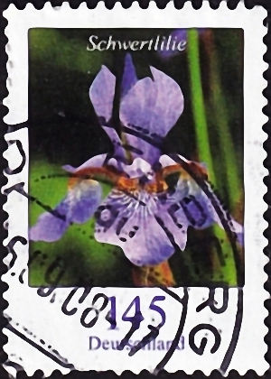 Германия 2006 год . Меч лилия (Iris xiphium) . Каталог 2,60 €. (3)