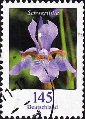 Германия 2006 год . Меч лилия (Iris xiphium) . Каталог 2,60 €. (4)