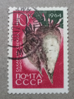 1964 СССР Сельскохозяйственные культуры Сахарная свекла meshok.net