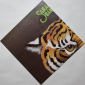 Saragossa Band "Matchless" 1980 Lp + Poster!   - вид 3